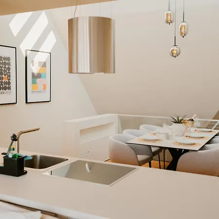 Penthouse Deluxe I Dachterrasse I Parkplatz Δρέσδη